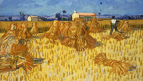 برداشت محصول ذرت