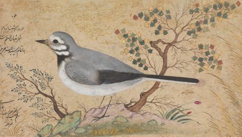 مینیاتورهای رضا عباسی بهترین نقاش دوران صفویه