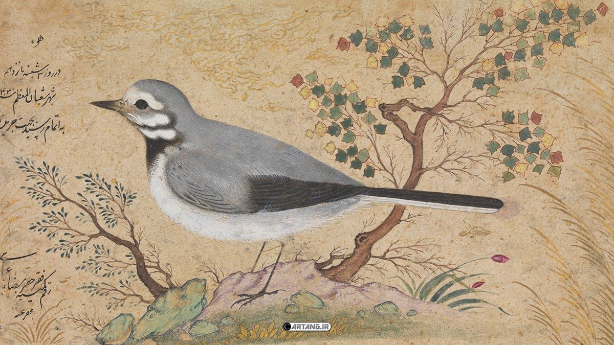 مینیاتورهای رضا عباسی بهترین نقاش دوران صفویه 1 مینیاتورهای رضا عباسی بهترین نقاش دوران صفویه