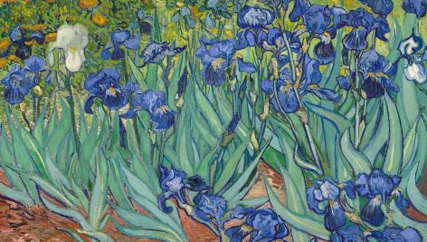 گل‌های زنبق ونسان ون گوگ