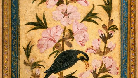 پرنده و شاخه گل شکوفا