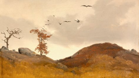 کلاغ های سیاه