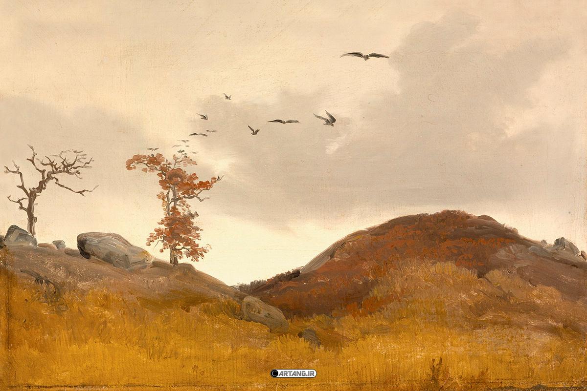 زندگی کلاغ های سیاه در پاییز زیبا 1 کلاغ های سیاه