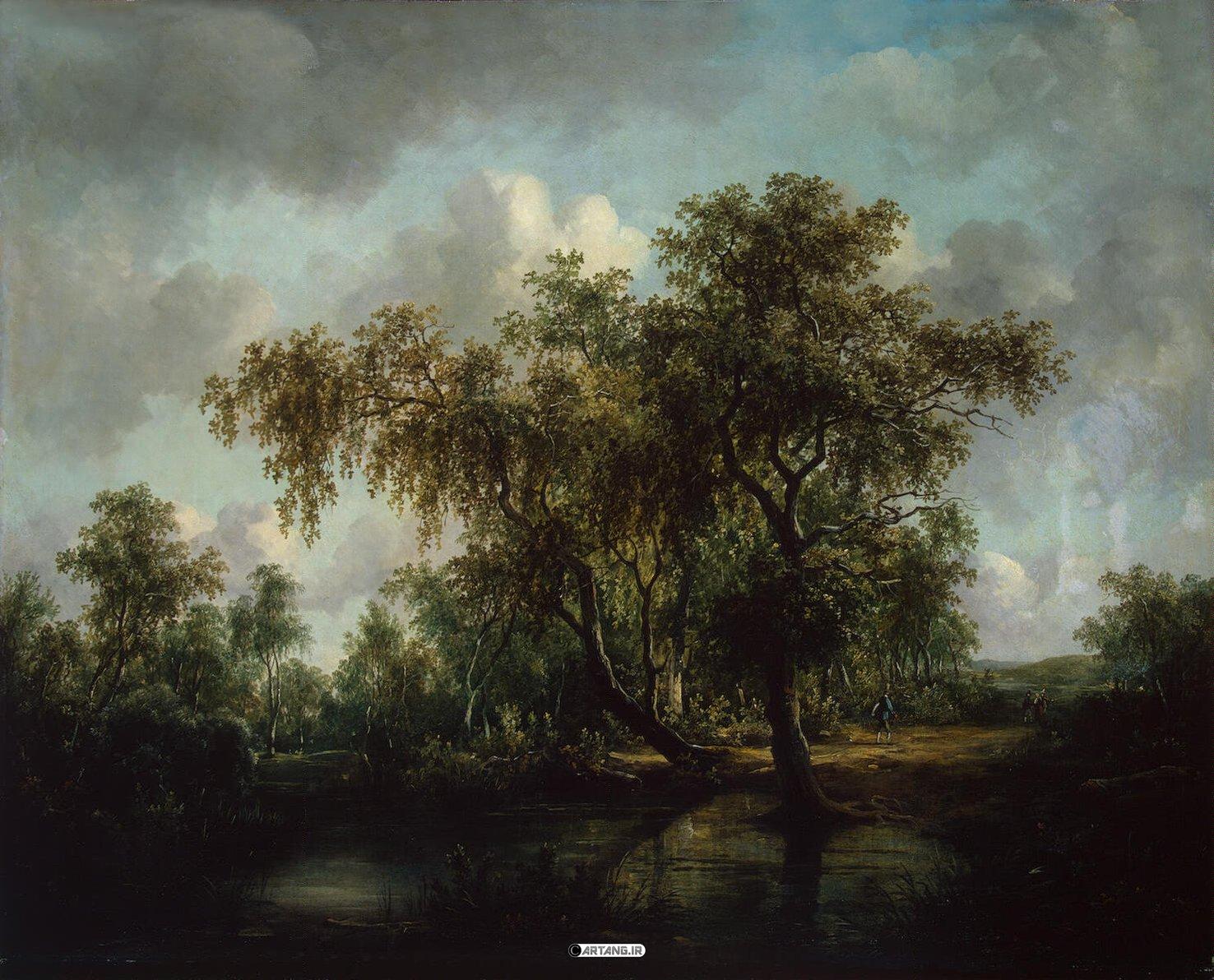 چشم اندازی از یک برکه طبیعی زیبا و پر آب 1 برکه