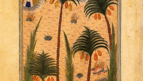 لیلی و مجنون