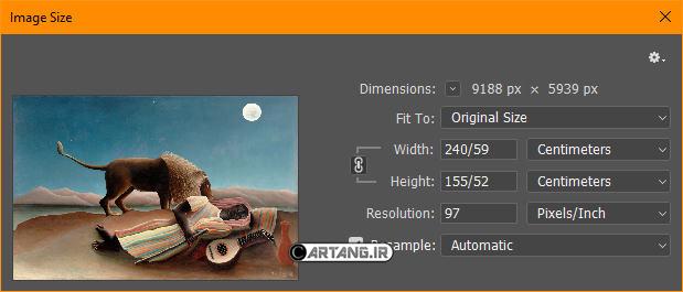 نقاشی کولی خفته 4 مشخصات