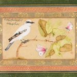 پرنده سیاه و سفید روی بوته 17 Bird 6