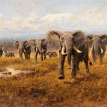 گلۀ فیلها 17 Elephants 1
