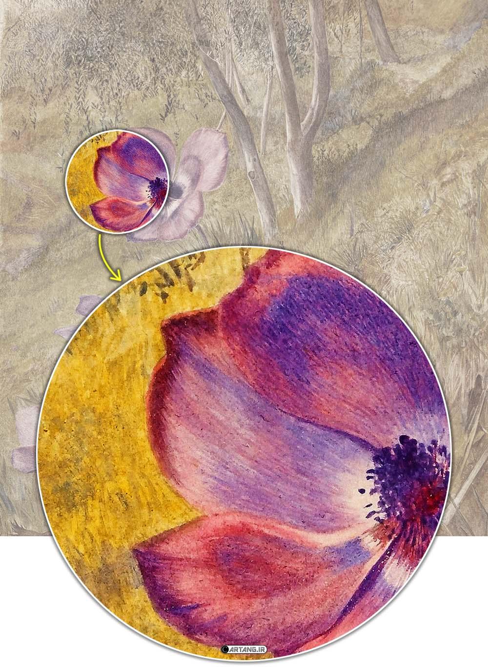 گل های شقایق