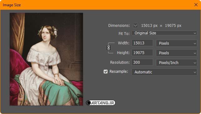 مشخصات پرترۀ دونا فرانسیسکا