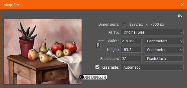 میوه ها روی میز 4 مشخصات